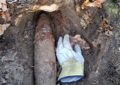 Muniție descoperită în pădurea din Cihei