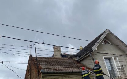 Incendiu la o locuință din Oradea