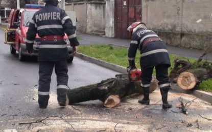 Intervenții ale pompierilor bihoreni în Oradea, Cadea, Aștileu și Lugașu de Jos