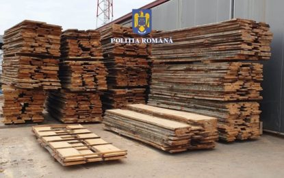 Peste 800 de metri cubi de material lemnos, deținut sau expediat fără proveniență legală, confiscați de polițiștii bihoreni