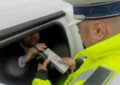 Aproape 9.400 de conducători auto au fost testați pentru alcool sau droguri, de polițiștii rutieri bihoreni