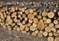 Peste 55 de metri cubi de lemn rotund, în valoare de 9.000 de lei, confiscați valoric de polițiștii bihoreni