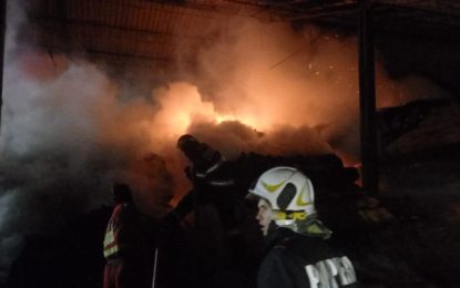 Incendiu la un depozit de material lemnos din Săcueni