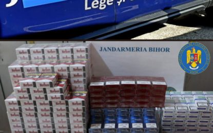 Peste 250 de misiuni executate de jandarmii bihoreni,  în prima jumătate a lunii februarie 2023