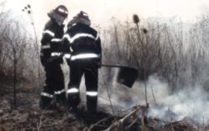 Incendierea resturilor vegetale în scopul igienizării terenurilor este interzisă