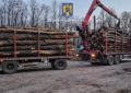 Peste 15 metri cubi de material lemnos, fără proveniență legală și autotrenul cu care era efectuat transportul, confiscați de polițiștii bihoreni, de la un bărbat