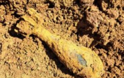 Bombă de artilerie descoperită în Cihei