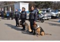 Ziua Poliţiei Române va fi marcată şi de această dată şi în Bihor