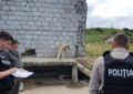 Bănuit de schingiuirea animalelor, reținut de polițiștii bihoreni de la protecția animalelor
