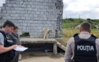 Bănuit de schingiuirea animalelor, reținut de polițiștii bihoreni de la protecția animalelor