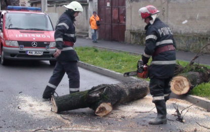 Recomandările pompierilor bihoreni pentru prevenirea situațiilor de urgență  generate de vântul puternic