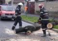 Efecte produse în Bihor în urma manifestării fenomenelor meteorologice periculoase