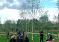100 de mesteceni plantați în amintire – primul parc tematic din Oradea