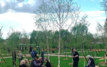 100 de mesteceni plantați în amintire – primul parc tematic din Oradea