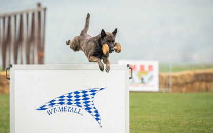 Campionatul Mondial Canin în premieră în România