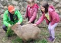 Ziua părinților adoptivi, la Zoo Oradea Capibara, cel mai adoptat animal