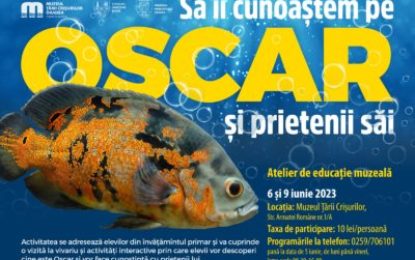 Atelier de educație muzeală: „Să îi cunoaștem pe Oscar și prietenii săi”