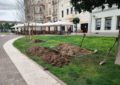 Se refac sistemul de irigații și peluzele din Piața Unirii