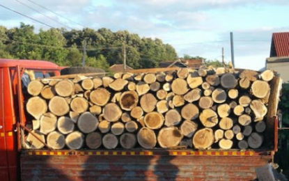 Aproape 50 de metri cubi de material lemnos, fără proveniență legală, în valoare de 11.541 de lei, confiscați valoric de polițiștii bihoreni, de la un transportator autorizat