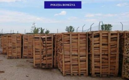 Aproape 250 de metri cubi de material lemnos, fără proveniență legală, în valoare de peste 41.000 de lei, confiscați valoric de polițiștii bihoreni