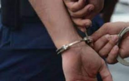 Un tânăr, bănuit de repetate furturi din locuințe, reținut de polițiștii bihoreni și arestați de magistrați