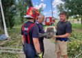 Un ursuleț de la Zoo Oradea a evadat imediat după furtuna din 25 iulie.