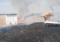 Zeci de hectare de grâu salvate de pompierii bihoreni