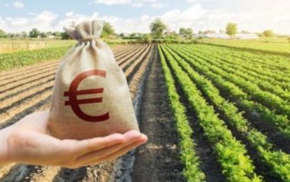 Informații la zi despre finanțări și dezvoltarea de parteneriate româno-maghiare pentru antreprenorii din domeniul agro-alimentar