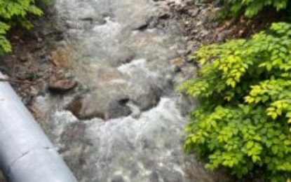 Acţiune de verificare a salubrizării cursurilor de apă în Bihor