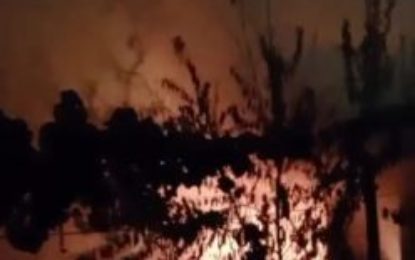 Incendii izbucnite la o gospodărie din Tileagd și la o societate comercială din Salonta
