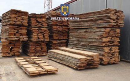 Peste 35 de metri cubi de material lemnos, expediat fără proveniență legală, în valoare de 22.440 de lei, confiscați de polițiștii bihoreni