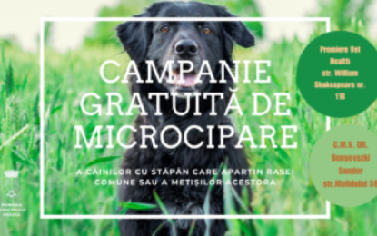 Campania gratuită a Primăriei Oradea de microcipare a câinilor cu stăpân continuă. Câinii vor fi înregistrați în RECS