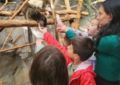 Un eveniment ajuns la cea de-a XVI-a ediție: Ziua părinților adoptivi, la Zoo Oradea