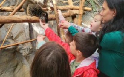 Un eveniment ajuns la cea de-a XVI-a ediție: Ziua părinților adoptivi, la Zoo Oradea