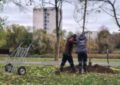 Sute de arbori au fost plantați în ultima lună în Oradea