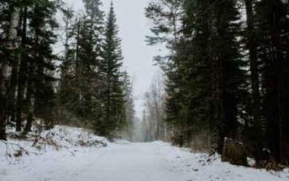 Circulație rutieră închisă pe drumuri județene în sezonul rece
