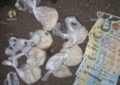 Un bărbat de 33 de ani a fost reţinut în trafic de poliţiştii bihoreni, pentru trafic de droguri de mare risc