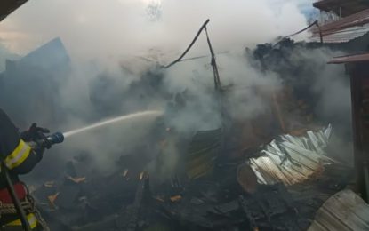Incendiu în comuna Tulca