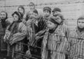 27 ianuarie – Ziua Internațională de Comemorare a Victimelor Holocaustului
