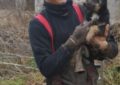 Pui de câine salvat de pompieri, în Șuncuiuș