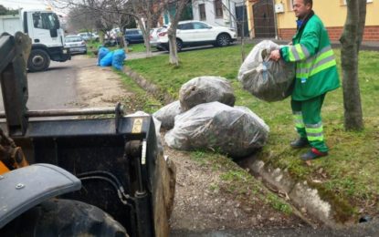 Orădenii de la case și blocuri se pot debarasa gratuit de materialul vegetal în cadrul campaniei de curățenie derulată de Primăria Oradea