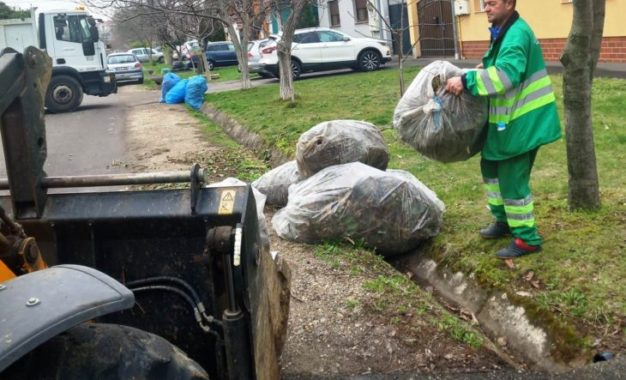 Orădenii de la case și blocuri se pot debarasa gratuit de materialul vegetal în cadrul campaniei de curățenie derulată de Primăria Oradea