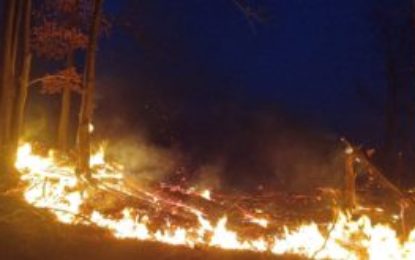 13 incendii în Bihor, în interval de circa 14 ore