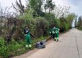 S-a încheiat campania de curățenie de primăvară – peste 360 mc de deșeuri vegetale colectate