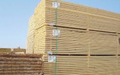 Peste 266 de metri cubi de material lemnos, în valoare de peste 153.000 de lei, confiscați valoric de polițiștii de la delicte silvice, de la două societăți comerciale