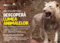 Descoperă lumea animalelor, la Muzeul Ţării Crişurilor