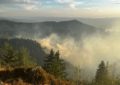 Incendiu de fond forestier izbucnit în zona montană dintre localitățile Budureasa și Stâna de Vale