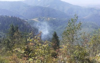 Misiunea de stingere a incendiului de fond forestier din zona montană dintre Budureasa și Stâna de Vale continuă