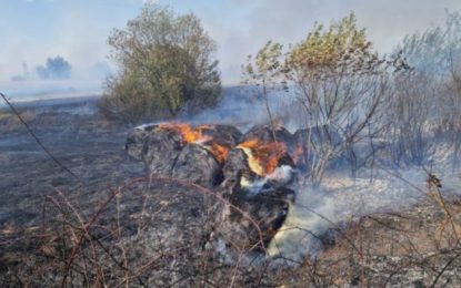 12 incendii de vegetație uscată produse în weekend, în Bihor