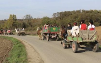 Sărbătorirea recoltei de struguri în comunitatea maghiară din Sîntimreu